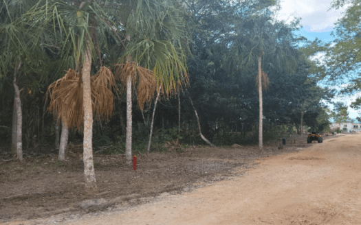 650 sq m of Land in Fresh Water Creek, Corozal District For Sale