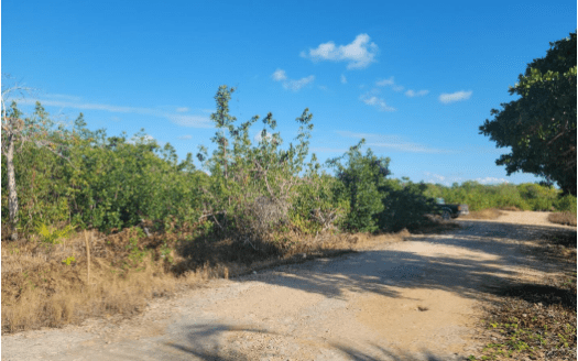 1.250 Acre Coastal Paradise in Corozal District, Belize For Sale – Prime Location!