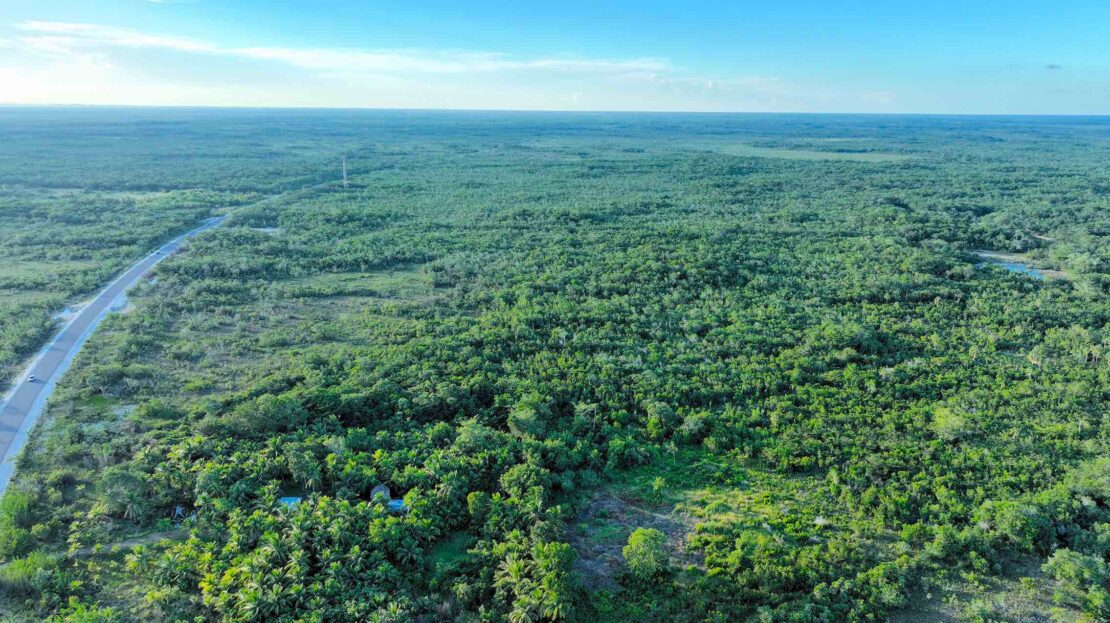Belize Rural North Property