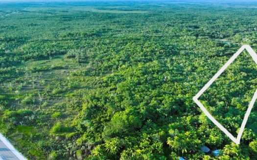 10.38 Acres Belize Rural North Property