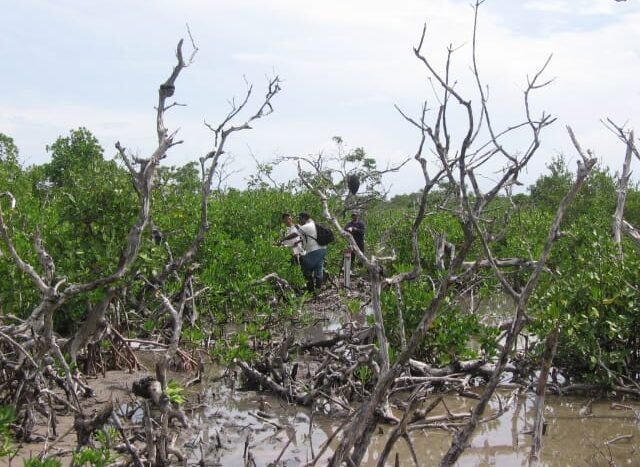 Belize Island for Sale