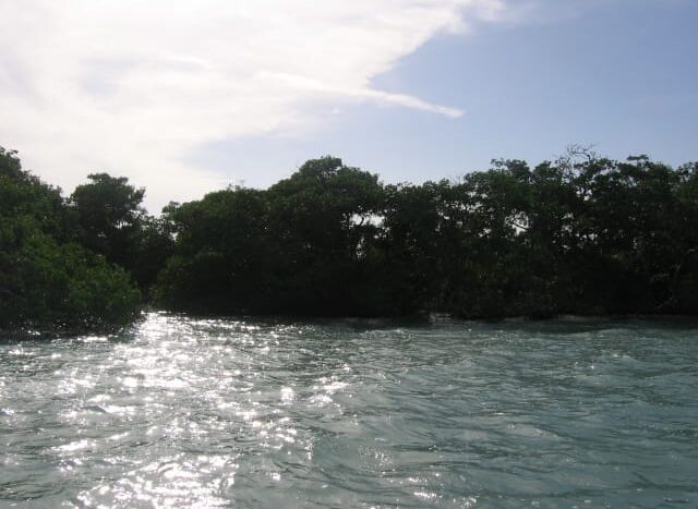 Belize Island for Sale