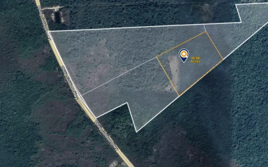 Land for Sale in Belize Rural North – 10.38 Acres Near Crooked Tree Junction