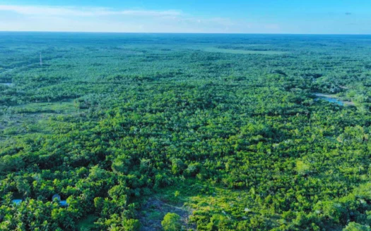 Land for Sale in Belize Rural North – 10.38 Acres Near Crooked Tree Junction