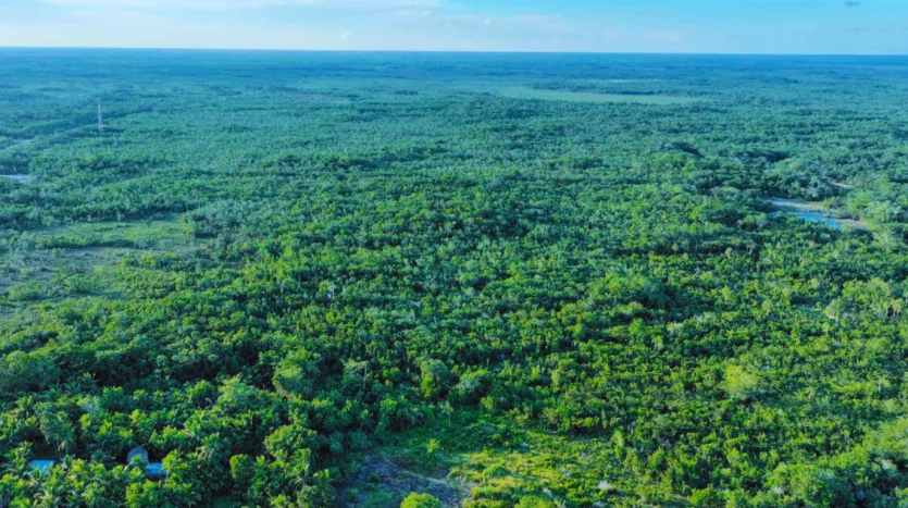 10.38 Acres of Land for Sale in Belize Rural North II