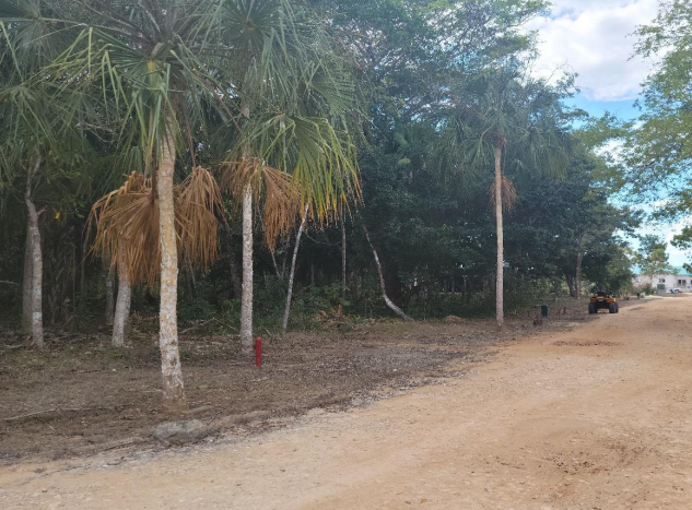 650 sq m of Land in Fresh Water Creek, Corozal District For Sale