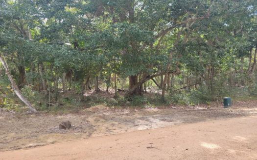 650 sq m of Land in Fresh Water Creek, Corozal District For Sale