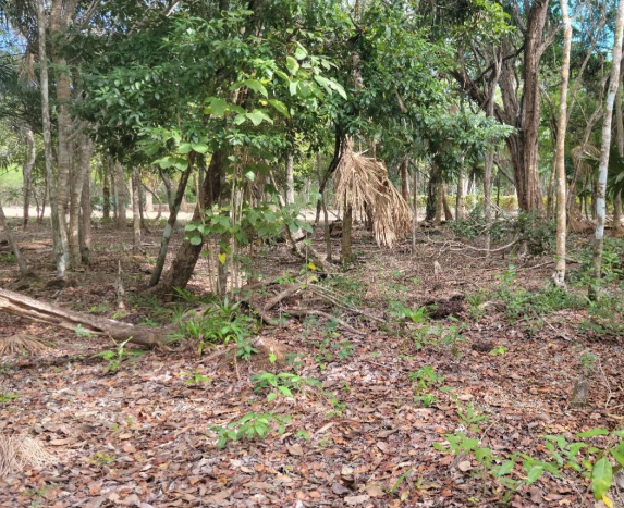 650 sq m of Land in Fresh Water Creek, Corozal District For Sale