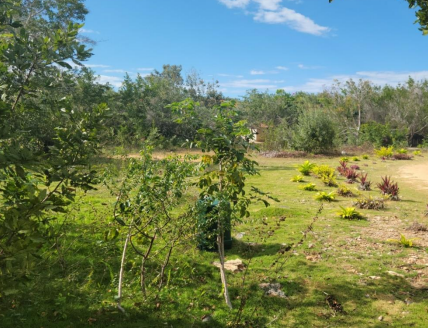 1079.19 Sq. Meters Coastal Land for Sale in Corozal District, Belize