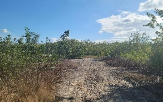 Prime 2.302-Acre Coastal Property in CorozalFor Sale