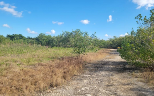 For Sale 2.302-Acre Coastal Property in Northern Belize: A Prime Investment Opportunity