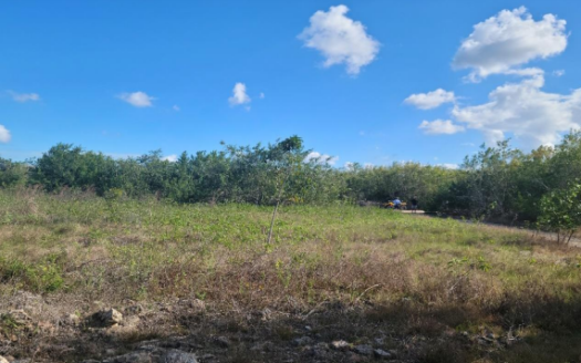 For Sale 2.302-Acre Coastal Property in Northern Belize: A Prime Investment Opportunity