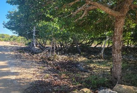 Own 1.250 Acres of Land by Sea in Corozal District, Belize