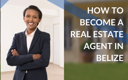 become a real estate agent in belize