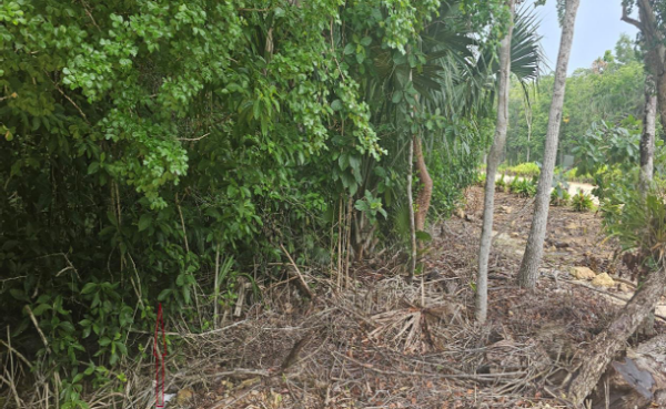 Orchid Bay Resort Development Area, Warree Bight/ Fresh Water Creek, Corozal District - Image 2