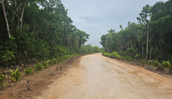 Orchid Bay Resort Development Area, Warree Bight/ Fresh Water Creek, Corozal District - Image 3