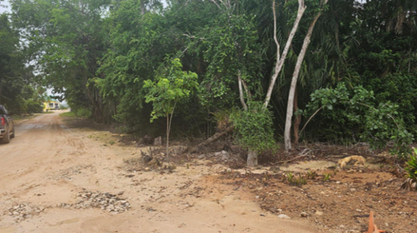 Orchid Bay Resort Development Area, Warree Bight/ Fresh Water Creek, Corozal District - Image 6