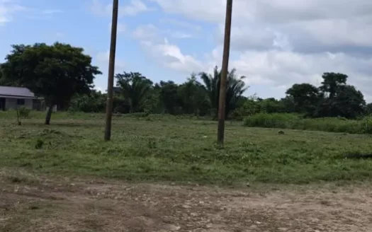 3 Prime Ready-to-Build Lots for Sale in Maya Mopan, Belmopan