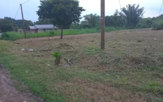 3 Prime Ready-to-Build Lots for Sale in Maya Mopan, Belmopan