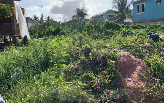 Land for Sale in Holy Emmanuel Area, Belize City