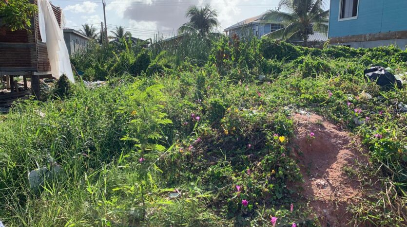 Land for Sale in Holy Emmanuel