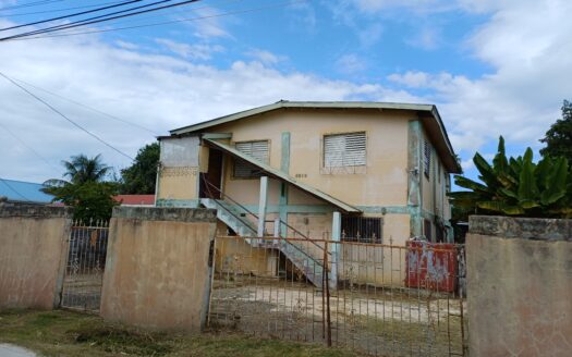 Two-Storey Fixer Upper House for Sale in St. Martin De Porres