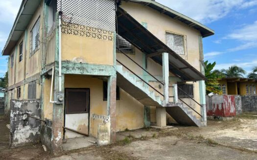 Two-Storey Fixer Upper House for Sale in St. Martin De Porres