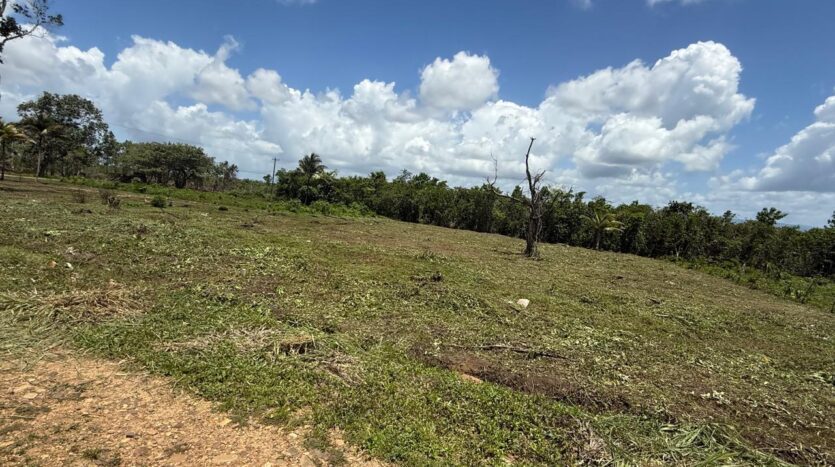 Franks Eddy Land for Sale