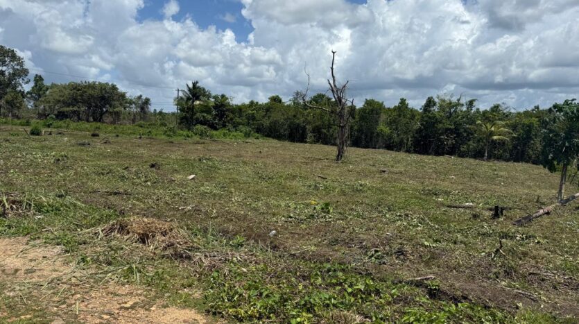 Franks Eddy Land for Sale