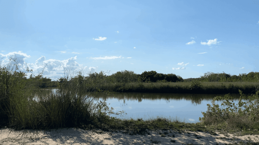 Waterfront Land for Sale in Corozal