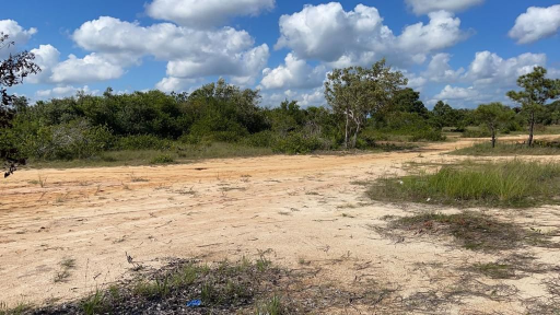 Land for Sale in Lord’s Bank Belize – Build Your Home or Invest Today