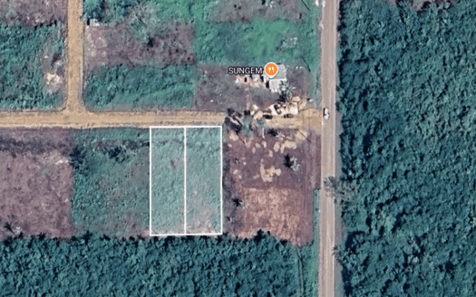 Franks Eddy Land for Sale in Cayo – Two ¼ Acre Parcels Near Jaguar Paw
