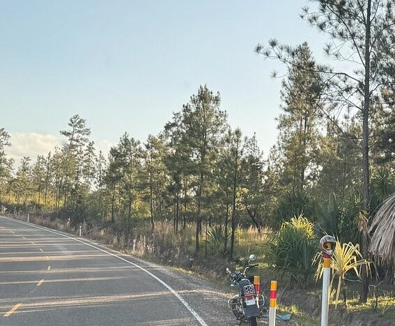 Mountain Pine Ridge Land for Sale