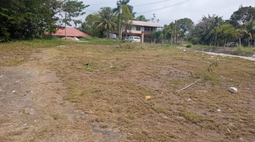 Hilltop land For Sale in San Ignacio