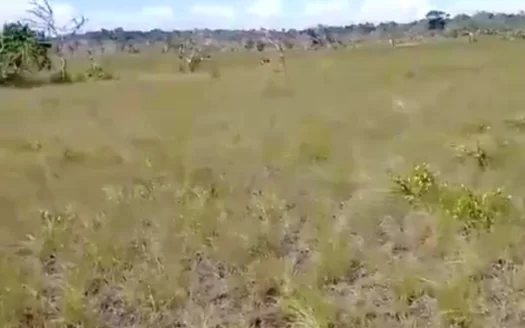 Affordable Land by 8 1/2 Mile near John Smith Road For Sale — Your Future Starts Here