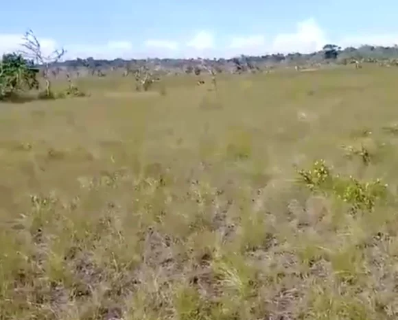 Affordable Land by 8½ Mile near John Smith Road For Sale