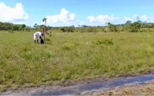 Affordable Land by 8 1/2 Mile near John Smith Road For Sale — Your Future Starts Here