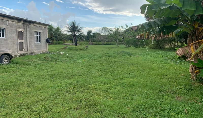 House for Sale in Chan Chen Corozal