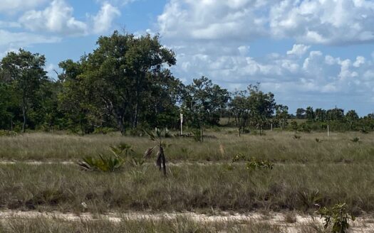 Land for Sale in Belize Tropical Park – Build or Invest