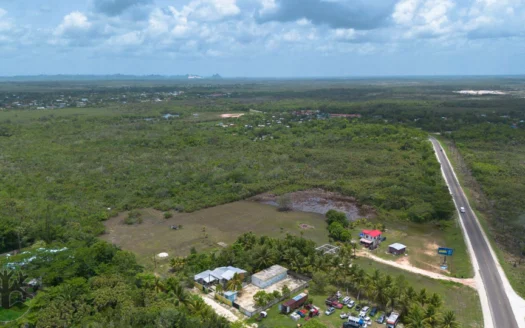 Land for Sale in Belize Tropical Park – Build or Invest