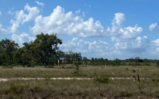 Land for Sale in Belize Tropical Park – Build or Invest