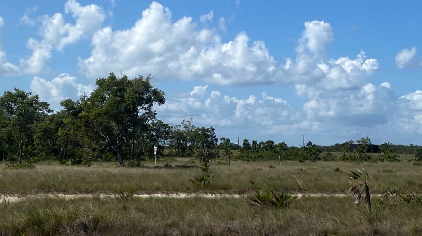 Land for Sale in Belize Tropical Park