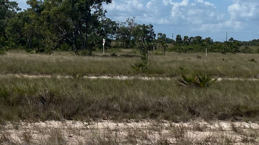 Land for Sale in Belize Tropical Park