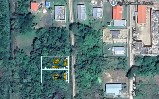 Land For Sale in Ladyville Belize – 𝐍𝐞𝐚𝐫 𝐏𝐞𝐫𝐞𝐳 𝐑𝐨𝐚𝐝 & Airport