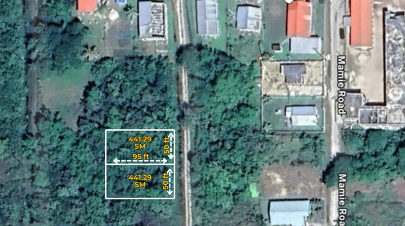 Land for Sale in Ladyville Belize