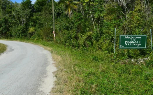 Land for Sale in Maskall Belize – River-Back Property on Old Northern Highway