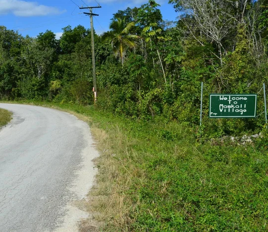 Land for Sale in Maskall Belize