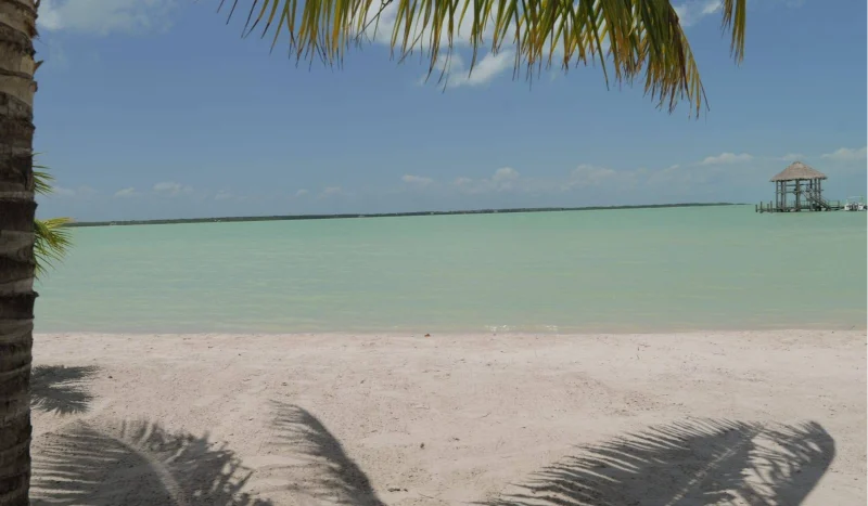 Commercial Property for Sale in Corozal, Belize – Orchid Bay