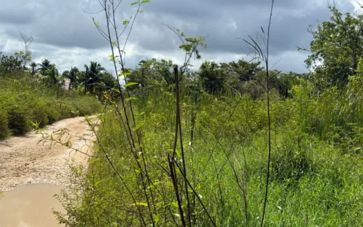 Land For Sale in Ladyville Belize – 𝐍𝐞𝐚𝐫 𝐏𝐞𝐫𝐞𝐳 𝐑𝐨𝐚𝐝 & Airport
