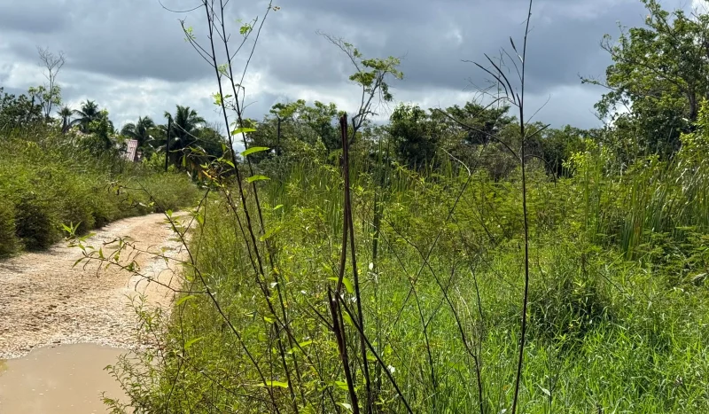 Land for Sale in Ladyville Belize